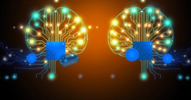 Abstrakcyjne, cyfrowe mózgi z obwodów i węzłów, symbolizujące logikę programowania i złożoność kodu.