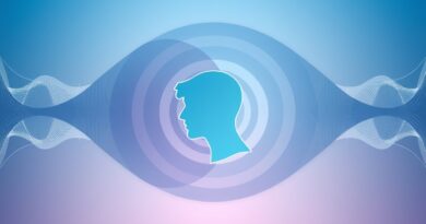 Abstrakcyjne fale dźwiękowe zbiegające się w stylizowaną głowę, symbolizujące diaryzację mówcy.