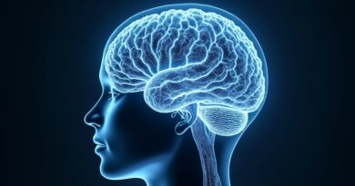 Stylizowany schemat mózgu z obwodami niczym fraktalne drzewa, symbolizujący efektywną architekturę uczenia maszynowego Ant Group.