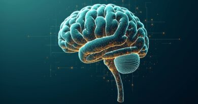 Abstrakcyjna sieć neuronowa w kształcie mózgu, z liniami kodu i planem, symbolizująca automatyzację oprogramowania.