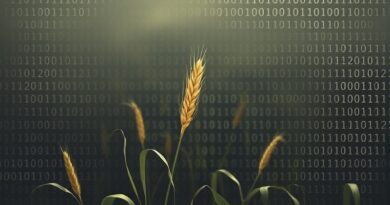 Złoty kłos pszenicy tonie w morzu kodu binarnego, symbolizując zalew AI i utratę autentyczności.